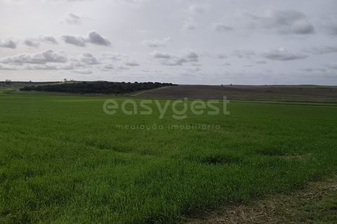Helårsgrund i Aljustrel, Beja, Aljustrel - € 56.500 | Ref: BJ98639AJ - foto 7