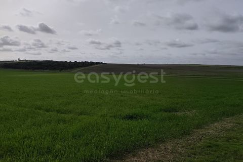 Helårsgrund i Aljustrel, Beja, Aljustrel - € 56.500 | Ref: BJ98639AJ - foto 8