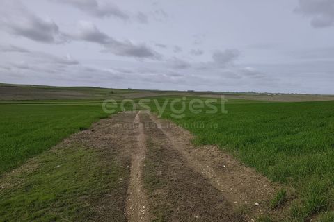 Helårsgrund i Aljustrel, Beja, Aljustrel - € 56.500 | Ref: BJ98639AJ - foto 9