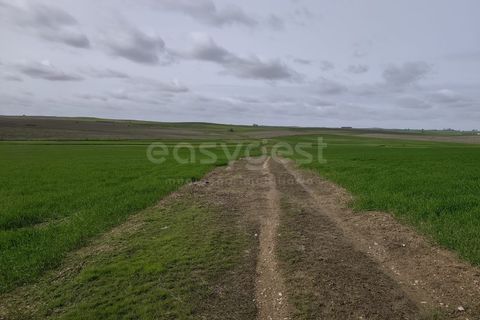 Helårsgrund i Aljustrel, Beja, Aljustrel - € 56.500 | Ref: BJ98639AJ - foto 10