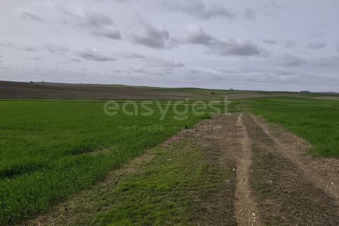 Helårsgrund i Aljustrel, Beja, Aljustrel - € 56.500 | Ref: BJ98639AJ - foto 11