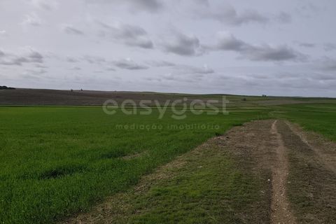 Helårsgrund i Aljustrel, Beja, Aljustrel - € 56.500 | Ref: BJ98639AJ - foto 12