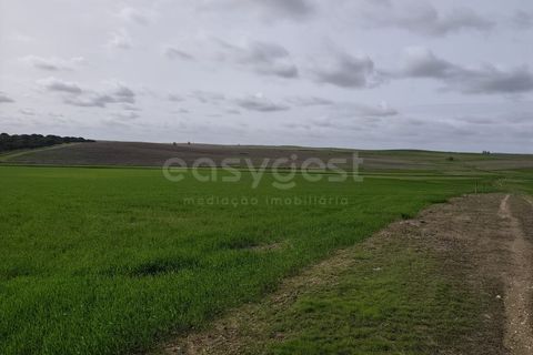 Helårsgrund i Aljustrel, Beja, Aljustrel - € 56.500 | Ref: BJ98639AJ - foto 13