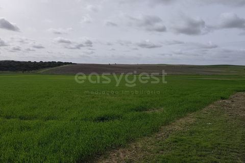 Helårsgrund i Aljustrel, Beja, Aljustrel - € 56.500 | Ref: BJ98639AJ - foto 14