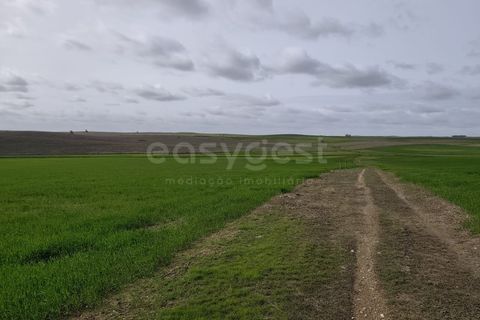 Helårsgrund i Aljustrel, Beja, Aljustrel - € 56.500 | Ref: BJ98639AJ - foto 15