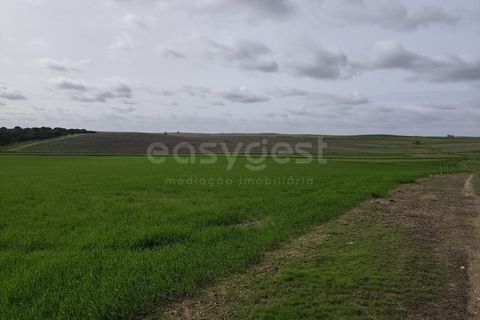 Helårsgrund i Aljustrel, Beja, Aljustrel - € 56.500 | Ref: BJ98639AJ - foto 16