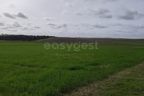 Helårsgrund i Aljustrel, Beja, Aljustrel - € 56.500 | Ref: BJ98639AJ - foto 17