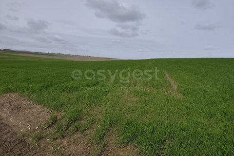 Helårsgrund i Aljustrel, Beja, Aljustrel - € 56.500 | Ref: BJ98639AJ - foto 18