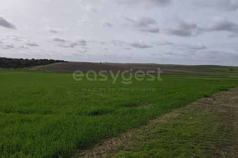 Helårsgrund i Aljustrel, Beja, Aljustrel - € 56.500 | Ref: BJ98639AJ - foto 19