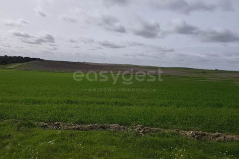 Helårsgrund i Aljustrel, Beja, Aljustrel - € 56.500 | Ref: BJ98638AJ - foto 1