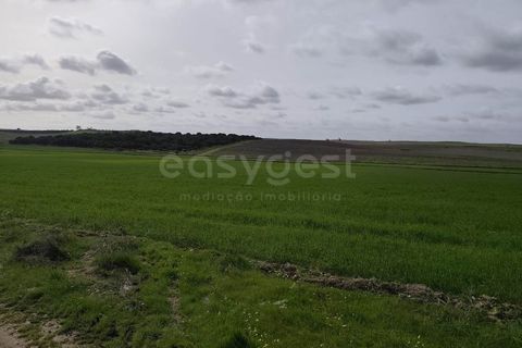 Helårsgrund i Aljustrel, Beja, Aljustrel - € 56.500 | Ref: BJ98638AJ - foto 2