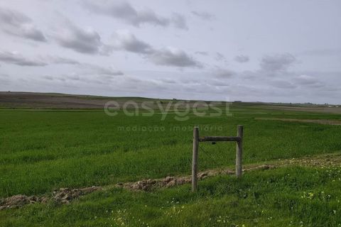 Helårsgrund i Aljustrel, Beja, Aljustrel - € 56.500 | Ref: BJ98638AJ - foto 3