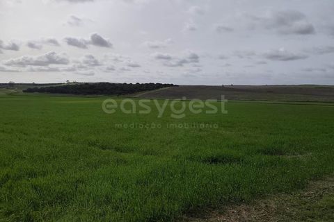 Helårsgrund i Aljustrel, Beja, Aljustrel - € 56.500 | Ref: BJ98638AJ - foto 4