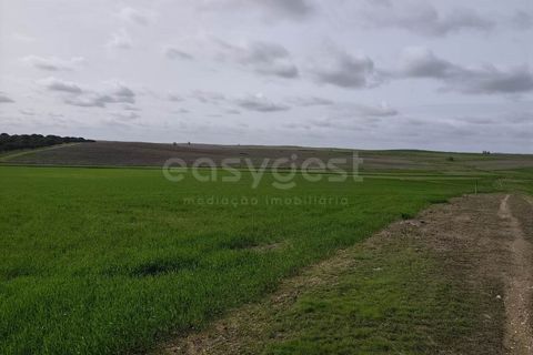 Helårsgrund i Aljustrel, Beja, Aljustrel - € 56.500 | Ref: BJ98638AJ - foto 5