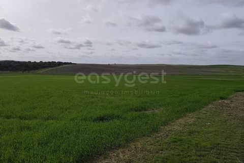 Helårsgrund i Aljustrel, Beja, Aljustrel - € 56.500 | Ref: BJ98638AJ - foto 6