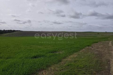 Helårsgrund i Aljustrel, Beja, Aljustrel - € 56.500 | Ref: BJ98638AJ - foto 8
