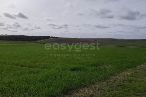 Helårsgrund i Aljustrel, Beja, Aljustrel - € 56.500 | Ref: BJ98638AJ - foto 9