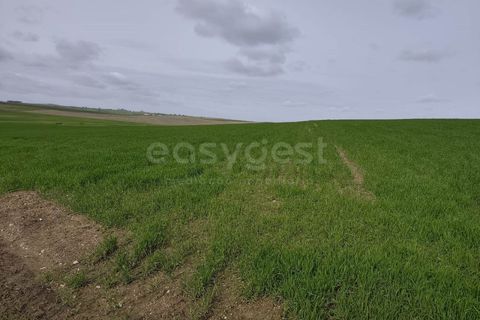 Helårsgrund i Aljustrel, Beja, Aljustrel - € 56.500 | Ref: BJ98638AJ - foto 10