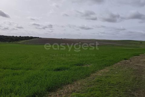 Helårsgrund i Aljustrel, Beja, Aljustrel - € 56.500 | Ref: BJ98638AJ - foto 11