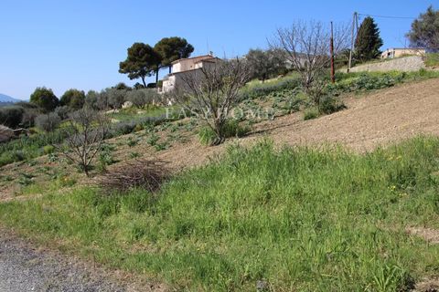Helårsgrund i Cannes, Alpes-Maritimes, Cannes - € 850.000 | Ref: 3070000 - foto 6