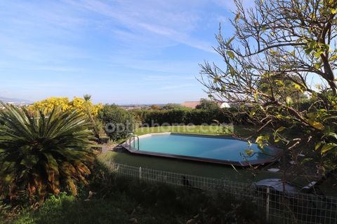 Villa i Biguglia, Haute-Corse, Biguglia - € 459.000 | Ref: 830036276451 - foto 5