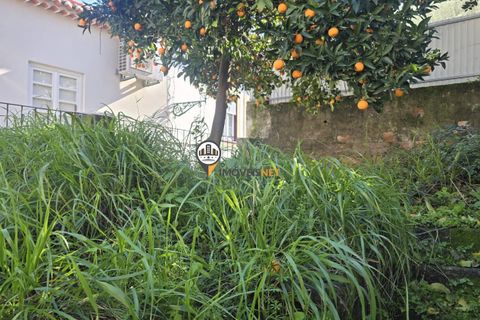 Villa i Castelo Branco, Castelo Branco, Castelo Branco - € 95.500 | Ref: 2952 - foto 27