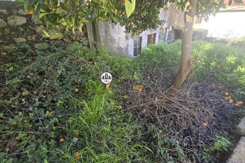 Villa i Castelo Branco, Castelo Branco, Castelo Branco - € 95.500 | Ref: 2952 - foto 28