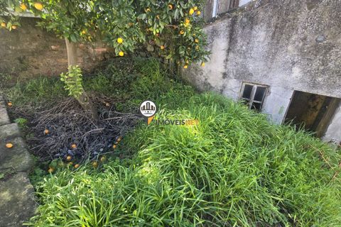 Villa i Castelo Branco, Castelo Branco, Castelo Branco - € 95.500 | Ref: 2952 - foto 38