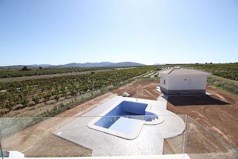 Villa i Pinoso, Alicante, Pinoso - € 375.000 | Ref: DMHL6004 - foto 4