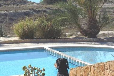 Landejendom i Torremendo, Alicante, Torremendo - € 1.745.000 | Ref: Torre JAnt - foto 39