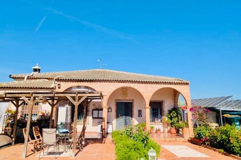 Landejendom i Casariche, Sevilla, Casariche - € 275.000 | Ref: 402a6500-7765-4fd8-9 - foto 2