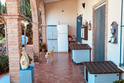 Landejendom i Casariche, Sevilla, Casariche - € 275.000 | Ref: 402a6500-7765-4fd8-9 - foto 14
