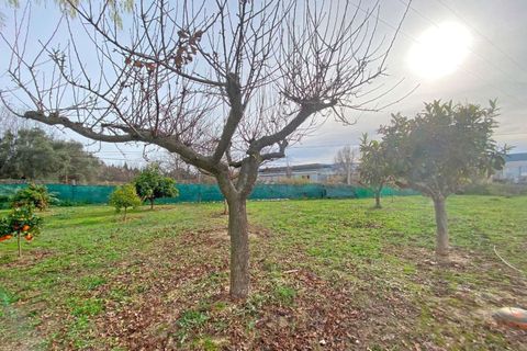 Villa i Ontinyent, Valencia, Ontinyent - € 300.000 | Ref: Villa Olivera - foto 3