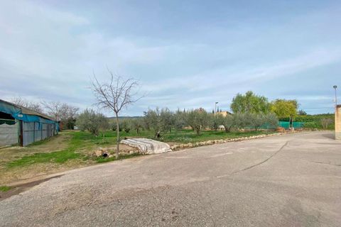 Villa i Ontinyent, Valencia, Ontinyent - € 300.000 | Ref: Villa Olivera - foto 32