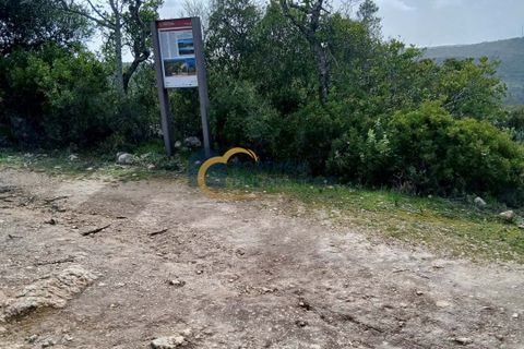 Terra a Paderne, Faro, Paderne - € 97.000 | Ref: NC207 - foto 3