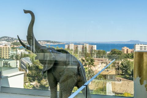 Villa a Palmanova, Mallorca, Palmanova - € 4.950.000 | Ref: FALC-Nep-61903 - foto 12