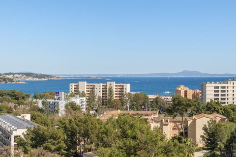 Villa a Palmanova, Mallorca, Palmanova - € 4.950.000 | Ref: FALC-Nep-61903 - foto 42