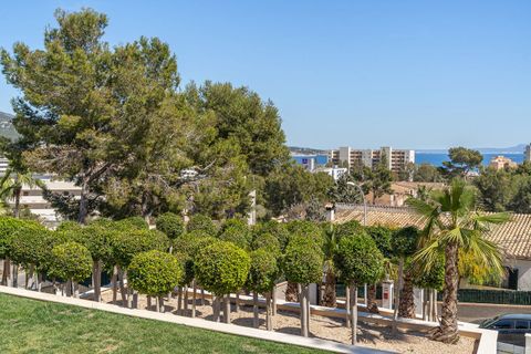 Villa a Palmanova, Mallorca, Palmanova - € 4.950.000 | Ref: FALC-Nep-61903 - foto 44