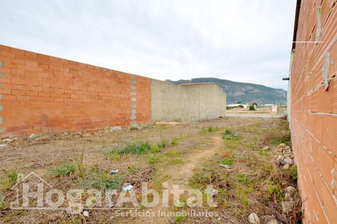 Terra a Benifairo De La Valldigna, Valencia, Benifairo De La Valldigna - € 50.000 | Ref: 109XSL-DOF50.FPV-A/3716 - foto 9