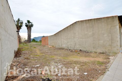 Terra a Benifairo De La Valldigna, Valencia, Benifairo De La Valldigna - € 50.000 | Ref: 109XSL-DOF50.FPV-A/3716 - foto 21