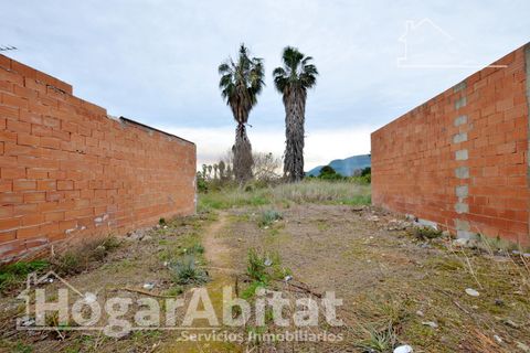 Terra a Benifairo De La Valldigna, Valencia, Benifairo De La Valldigna - € 50.000 | Ref: 109XSL-DOF50.FPV-A/3716 - foto 24