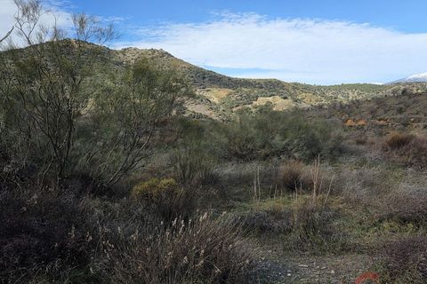 Finca i Torvizcon, Granada, Torvizcon - € 127.500 | Ref: L841 - foto 9