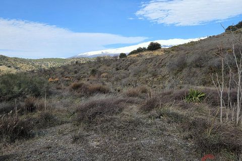 Finca i Torvizcon, Granada, Torvizcon - € 127.500 | Ref: L841 - foto 10