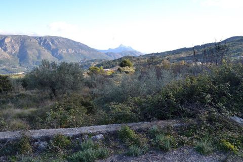 Terra a Benifato, Alicante, Benifato - € 44.000 | Ref: 6450 - foto 2