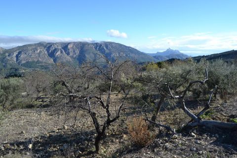 Terra a Benifato, Alicante, Benifato - € 44.000 | Ref: 6450 - foto 4