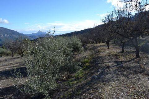 Terra a Benifato, Alicante, Benifato - € 44.000 | Ref: 6450 - foto 5