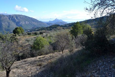 Terra a Benifato, Alicante, Benifato - € 44.000 | Ref: 6450 - foto 6