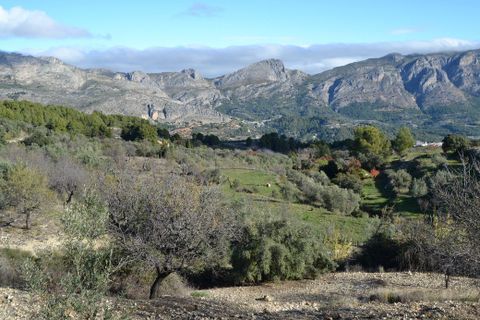 Terra a Benifato, Alicante, Benifato - € 44.000 | Ref: 6450 - foto 7