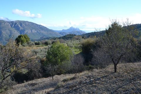 Terra a Benifato, Alicante, Benifato - € 44.000 | Ref: 6450 - foto 8