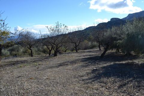 Terra a Benifato, Alicante, Benifato - € 44.000 | Ref: 6450 - foto 9